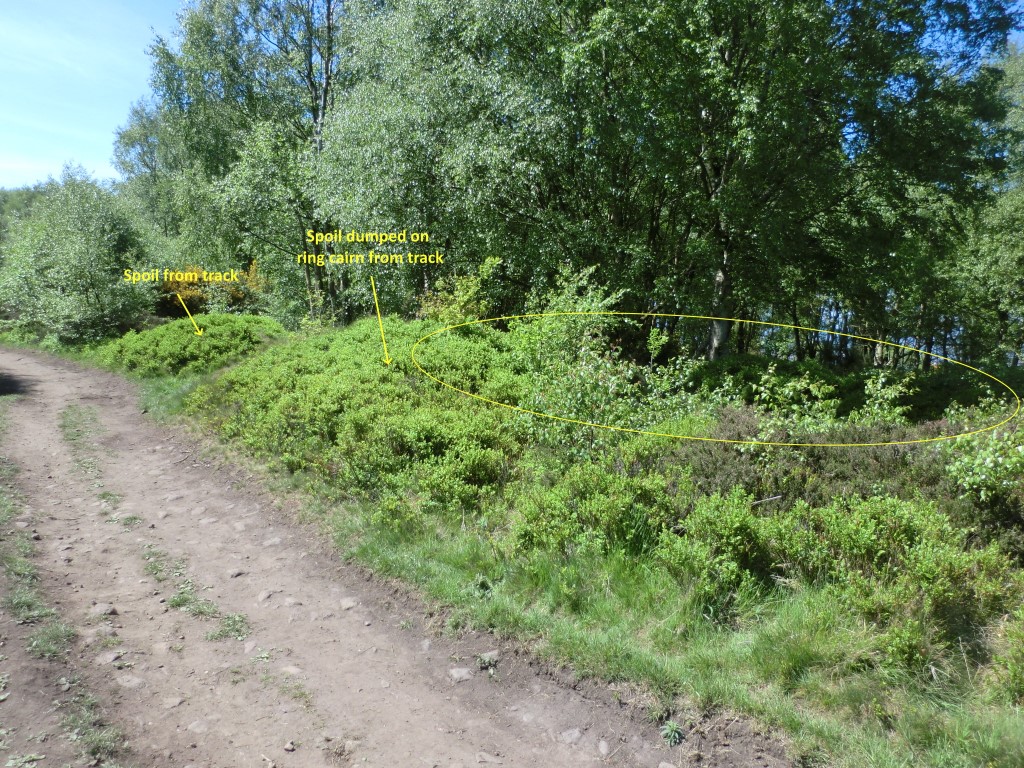 Click for full size image of Eston Moor Pond Barrow (PID:212023) Eston Moor Pond Barrow