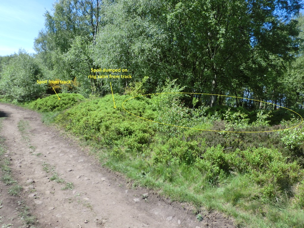 Eston Moor Pond Barrow