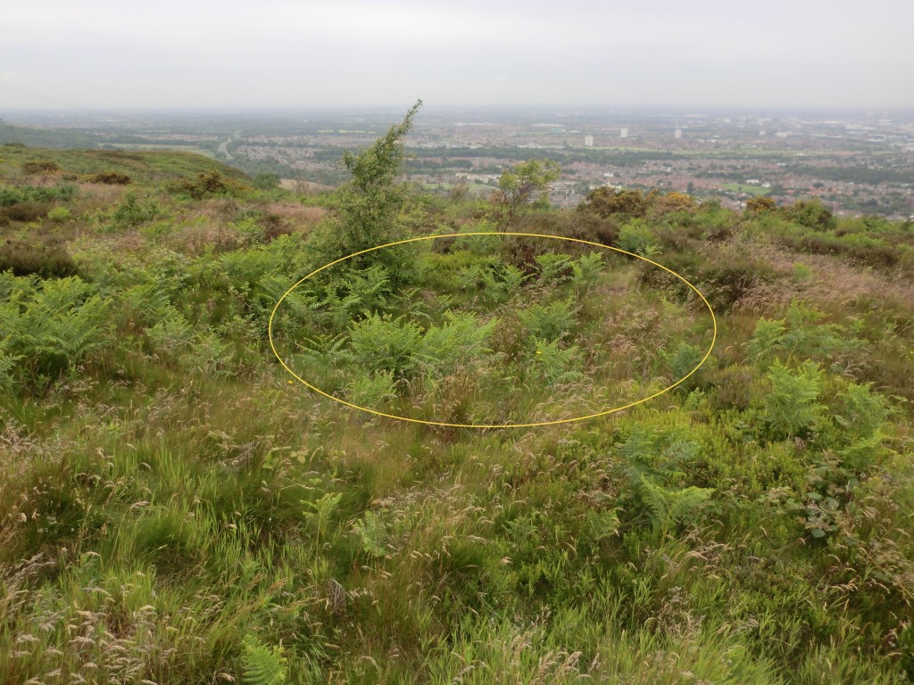 Click for full size image of Eston Moor B2 (PID:212928) Eston Moor B2