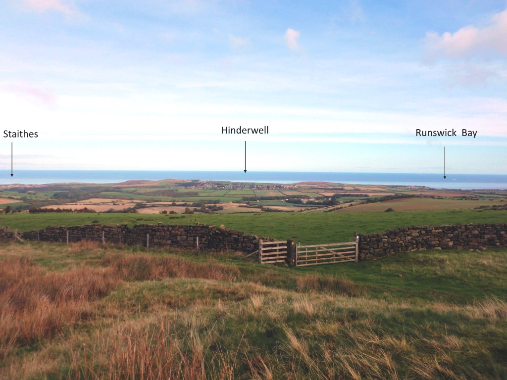 Click for full size image of Newton Mulgrave Moor LB (PID:268130) Newton Mulgrave Moor LB