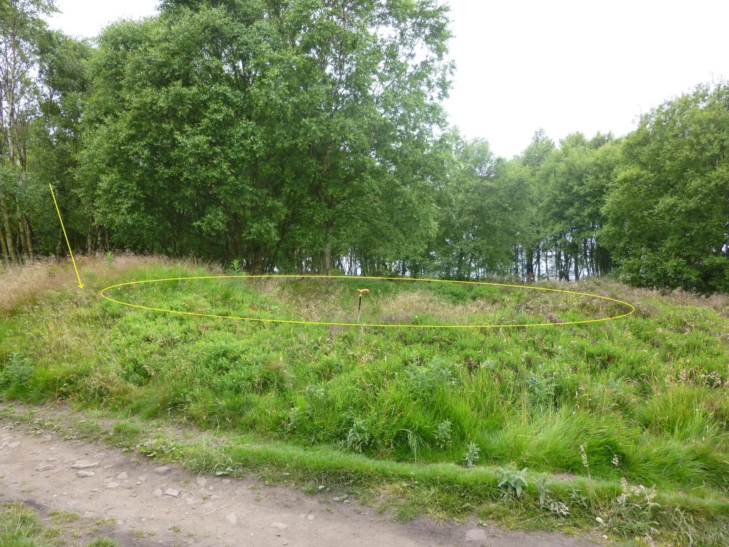 Click for full size image of Eston Moor Pond Barrow (PID:212024) Eston Moor Pond Barrow