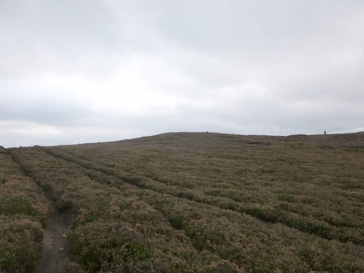 Click for full size image of Wolf Pit (Danby Rigg) (PID:301750) Wolf Pit (Danby Rigg)