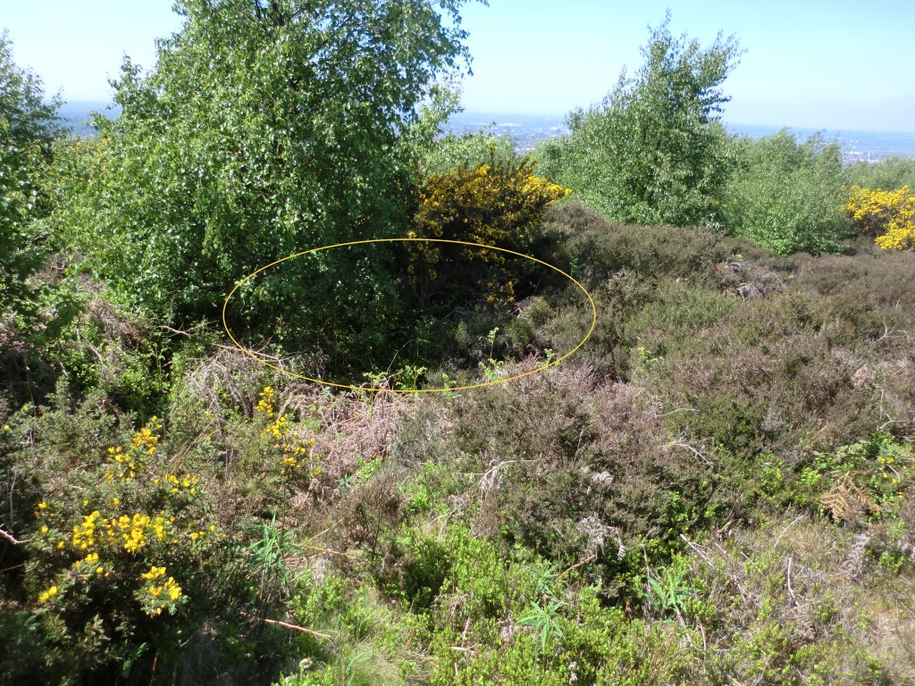 Click for full size image of Eston Moor B2 (PID:212929) Eston Moor B2