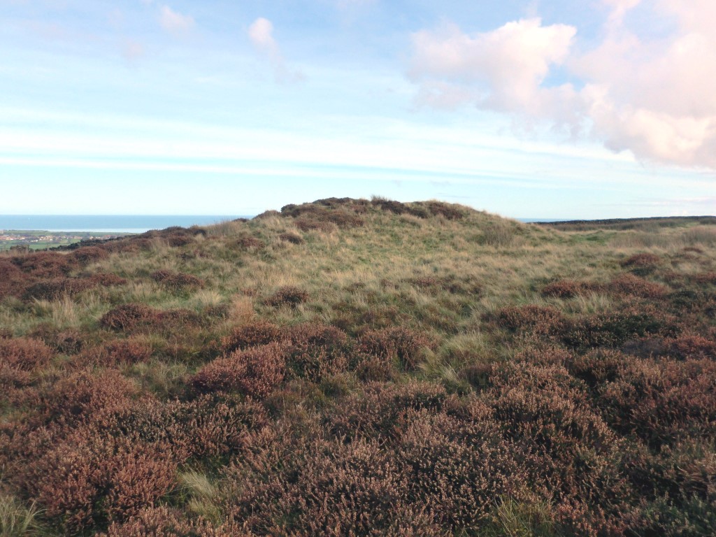 Click for full size image of Newton Mulgrave Moor LB (PID:268126) Newton Mulgrave Moor LB