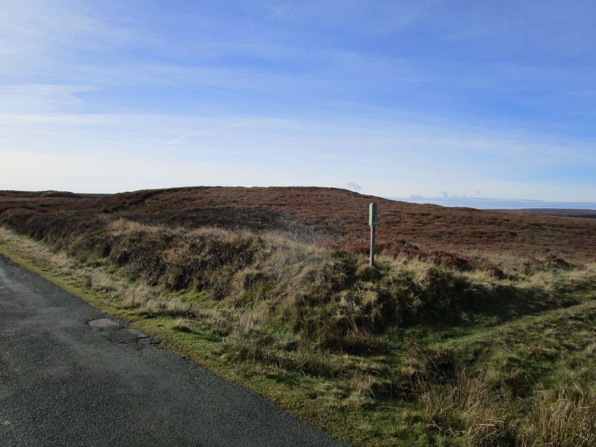 Click for full size image of Wolf Pit (Danby Rigg) (PID:301751) Wolf Pit (Danby Rigg)