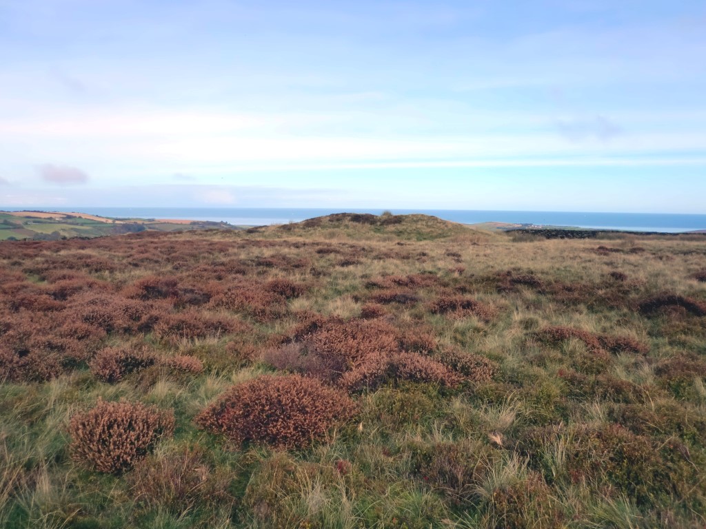 Click for full size image of Newton Mulgrave Moor LB (PID:268127) Newton Mulgrave Moor LB