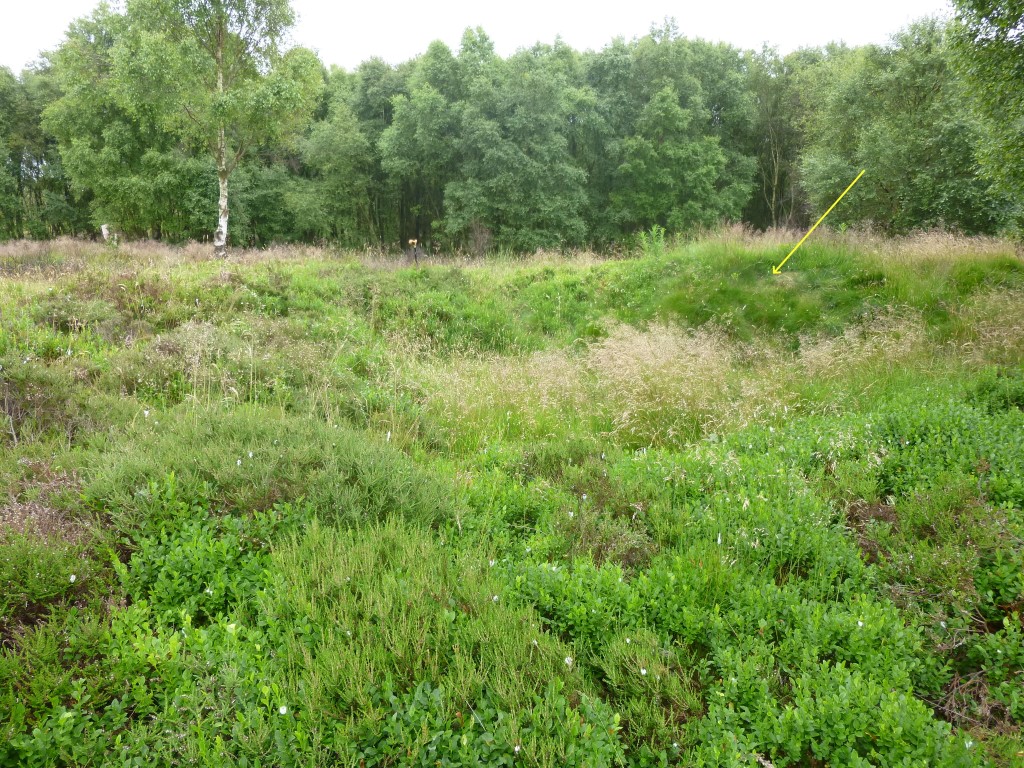 Eston Moor Pond Barrow