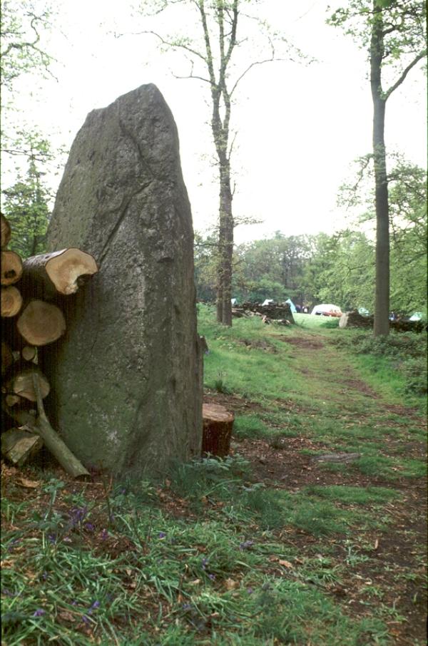 Cat Hill Wood Stone