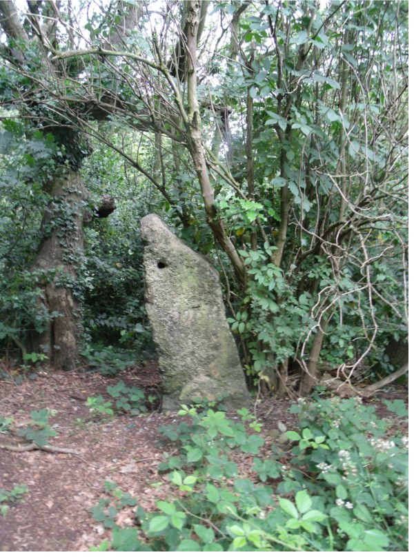 Crow Hill Standing Stone