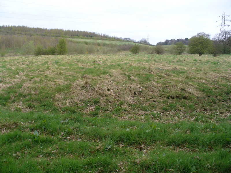 Kellam's Farm moated site