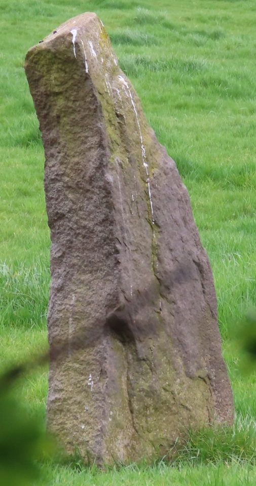 Anstey Stone