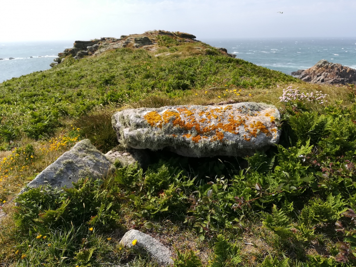 Click for full size image of White Island (PID:260124) White Island