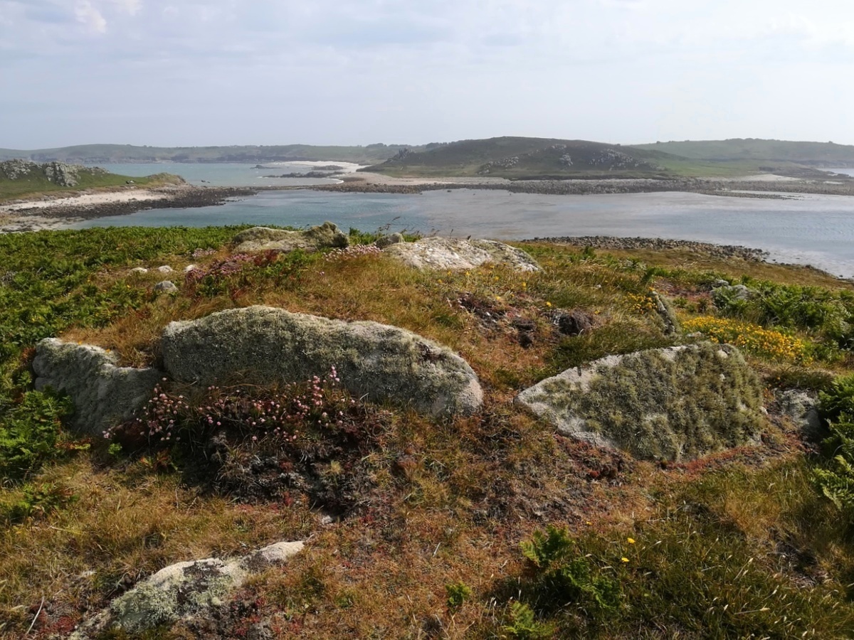 Click for full size image of White Island (PID:260125) White Island
