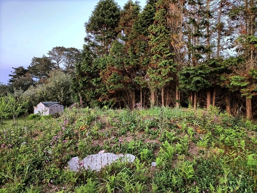 Click for full size image of Helvear Down (PID:243360) Helvear Down