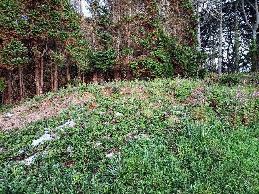 Click for full size image of Helvear Down (PID:243358) Helvear Down