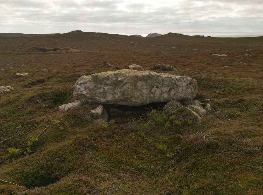 Click for full size image of Tregarthen Hill (PID:242047) Tregarthen Hill