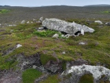 Click for full size image of Tregarthen Hill (PID:260354) Tregarthen Hill