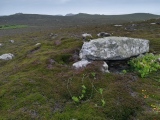 Click for full size image of Tregarthen Hill (PID:260352) Tregarthen Hill