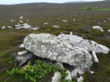 Click for full size image of Tregarthen Hill (PID:260356) Tregarthen Hill