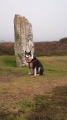 Click for full size image of Old Man of Gugh (PID:179869) Old Man of Gugh