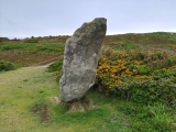 Click for full size image of Old Man of Gugh (PID:241398) Old Man of Gugh