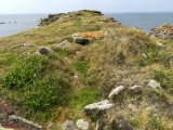 Click for full size image of White Island (PID:242759) White Island
