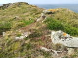 Click for full size image of White Island (PID:242768) White Island