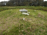 Click for full size image of Normandy Down (PID:243495) Normandy Down