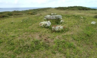 Click for full size image of Normandy Down (PID:243496) Normandy Down