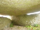 Click for full size image of Normandy Down (PID:243504) Normandy Down