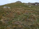 Shipman Head Down, Bryher