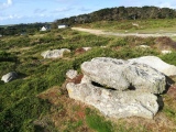 Click for full size image of Normandy Down (PID:253611) Normandy Down