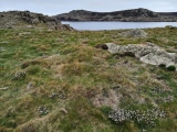 Click for full size image of Shipman Head Down, Bryher (PID:242403) Shipman Head Down, Bryher