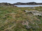 Shipman Head Down, Bryher