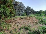 Click for full size image of Helvear Down (PID:243355) Helvear Down
