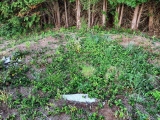 Click for full size image of Helvear Down (PID:243353) Helvear Down