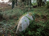Click for full size image of Helvear Down (PID:243357) Helvear Down
