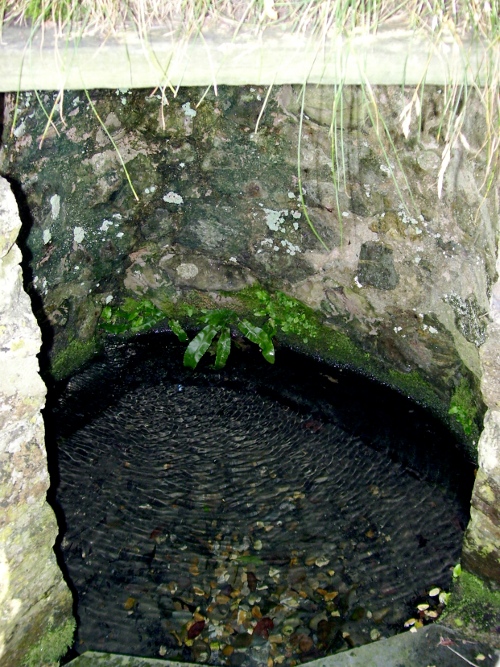  St Decumen's Well