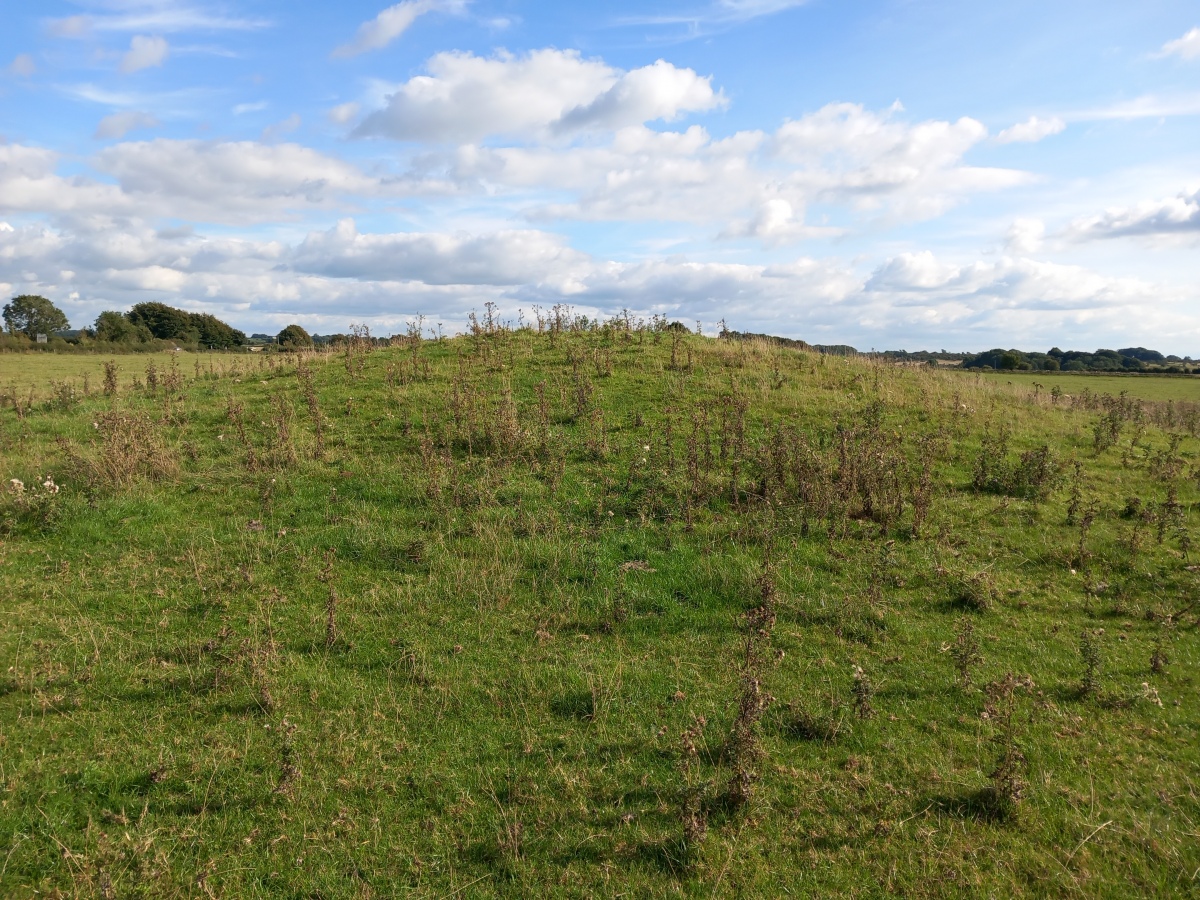 Whites Town Farm Tumulus