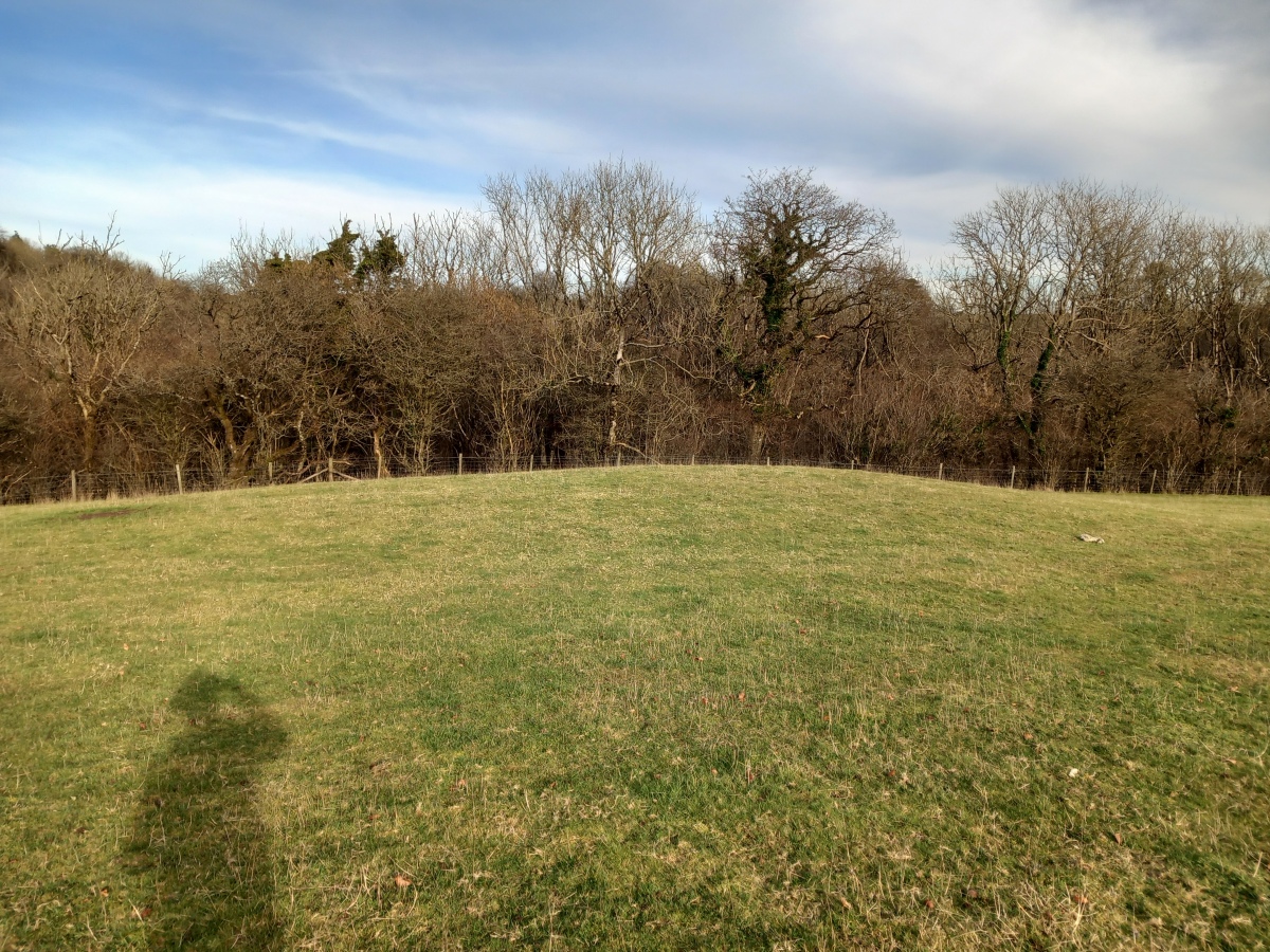 Longwood Tumulus