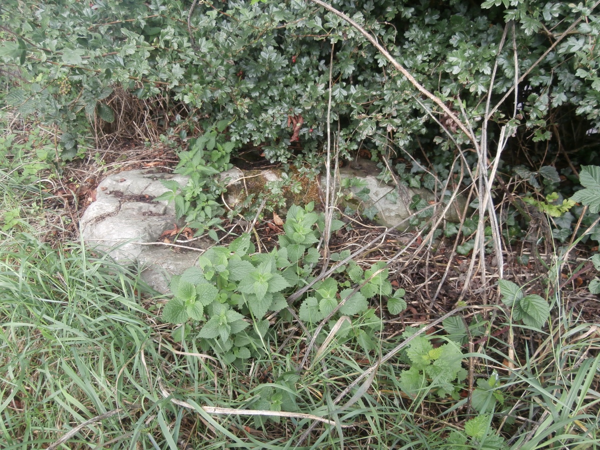 Click for full size image of Hautville's Quoit (PID:255604) Hautville's Quoit