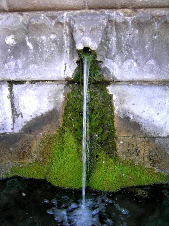Holy Well (Frome)