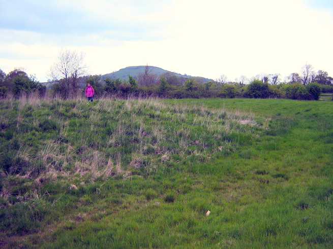 Unknown earthworks at Edithmead