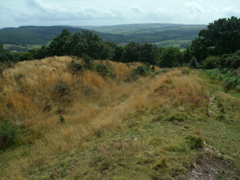 Bury Castle (Exmoor)