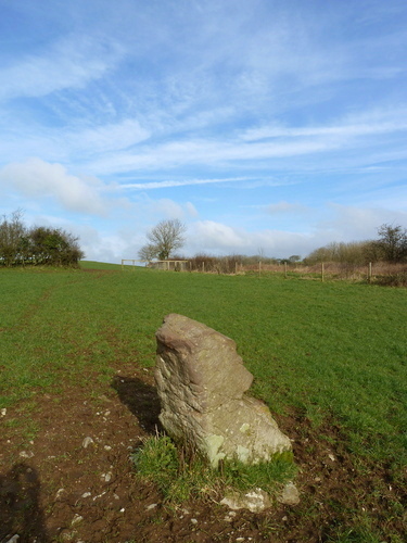 Deerleap Stones