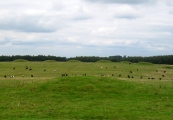 Click for full size image of Priddy Nine Barrows (PID:77956) Priddy Nine Barrows