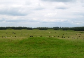 Priddy Nine Barrows