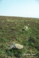 Click for full size image of Withypool Circle (PID:5478) Withypool Circle