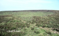 Click for full size image of Withypool Circle (PID:5480) Withypool Circle