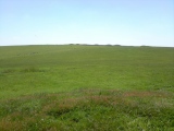 Click for full size image of Priddy Nine Barrows (PID:244273) Priddy Nine Barrows